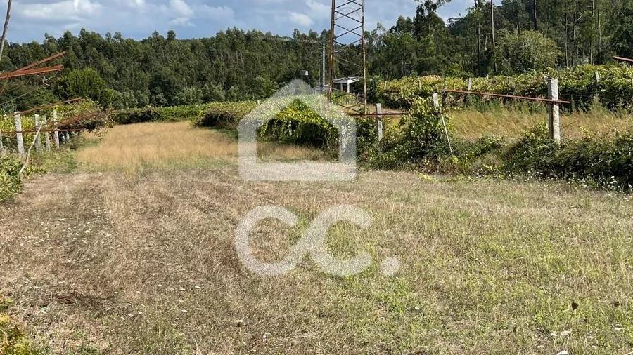 Terreno para Venda em Muro
