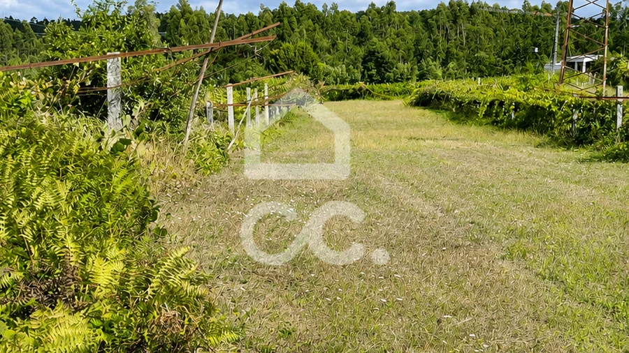 Terreno para Venda em Muro
