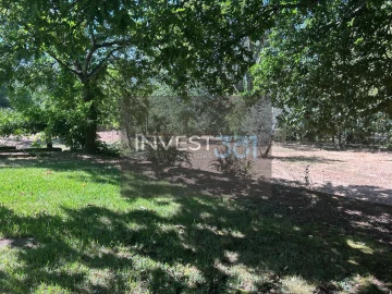 Moradia T3 para Venda em Alvarenga