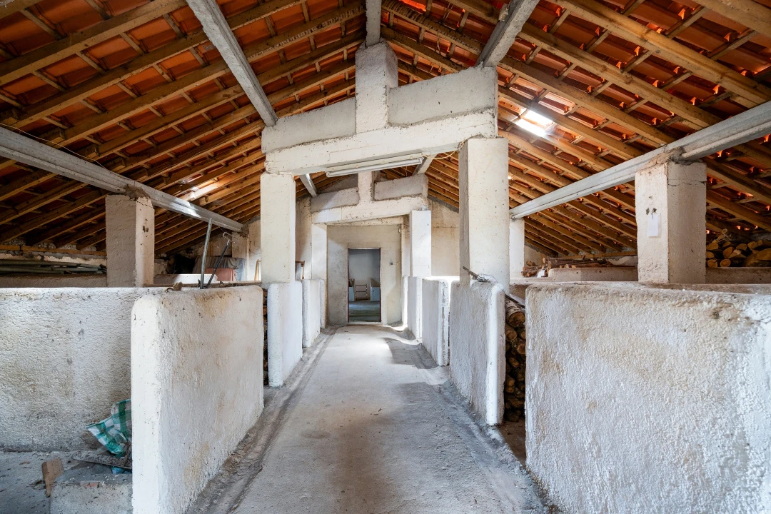 Quinta T4 para Venda em Sabugal e Aldeia de Santo António Foto 32