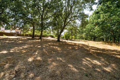 Quinta T4 para Venda em Sabugal e Aldeia de Santo António