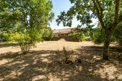 Quinta T4 para Venda em Sabugal e Aldeia de Santo António
