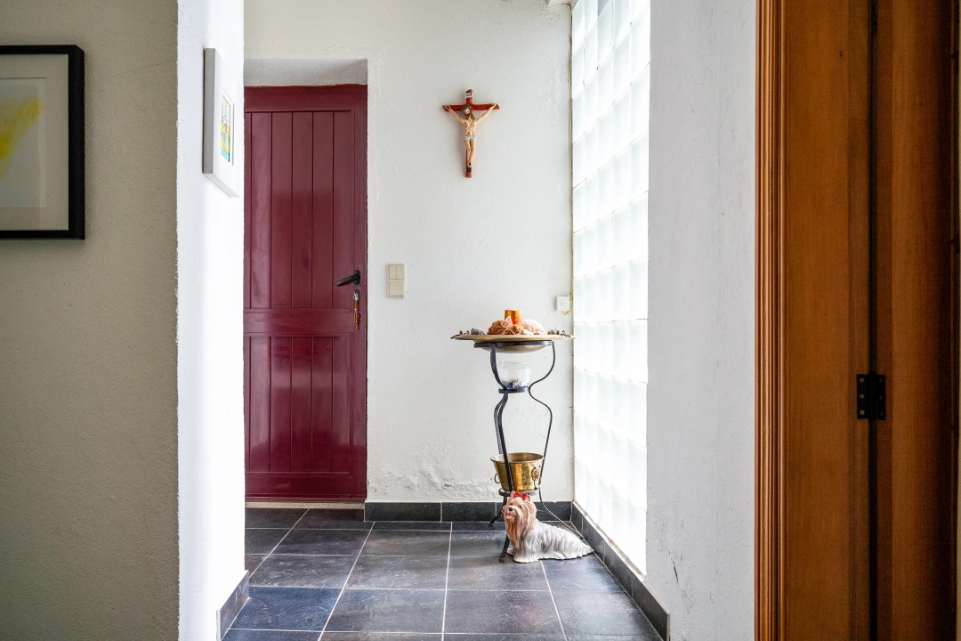 Quinta T4 para Venda em Sabugal e Aldeia de Santo António Foto 4