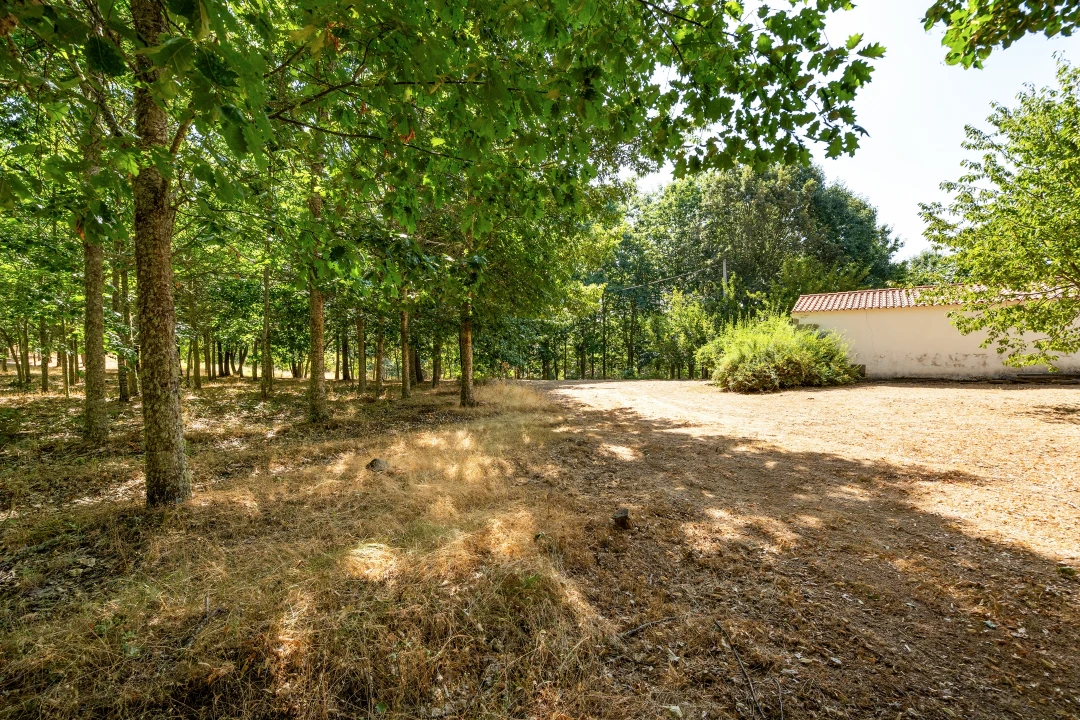 Quinta T4 para Venda em Sabugal e Aldeia de Santo António Foto 51