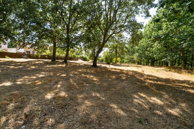 Quinta T4 para Venda em Sabugal e Aldeia de Santo António Foto 55