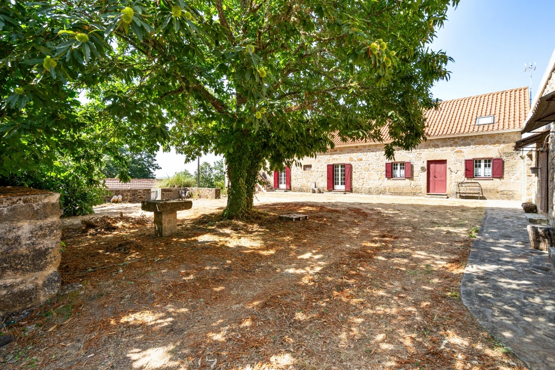 Quinta T4 para Venda em Sabugal e Aldeia de Santo António Foto 40