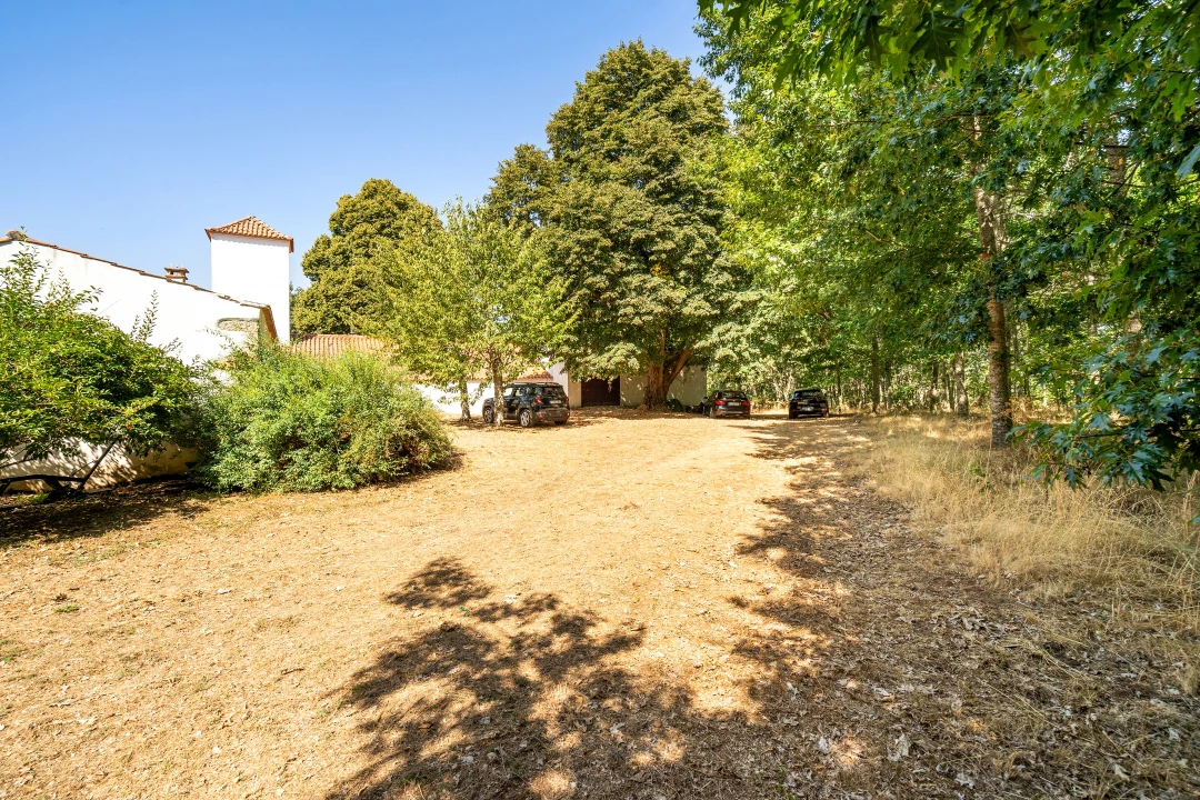 Quinta T4 para Venda em Sabugal e Aldeia de Santo António Foto 50