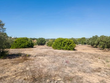 Terreno para Venda em Lagoa e Carvoeiro