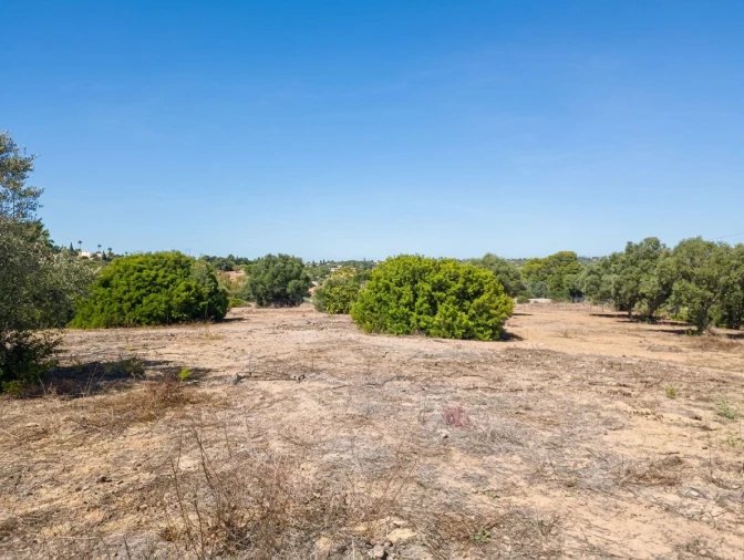 Terreno para Venda em Lagoa e Carvoeiro Foto 8