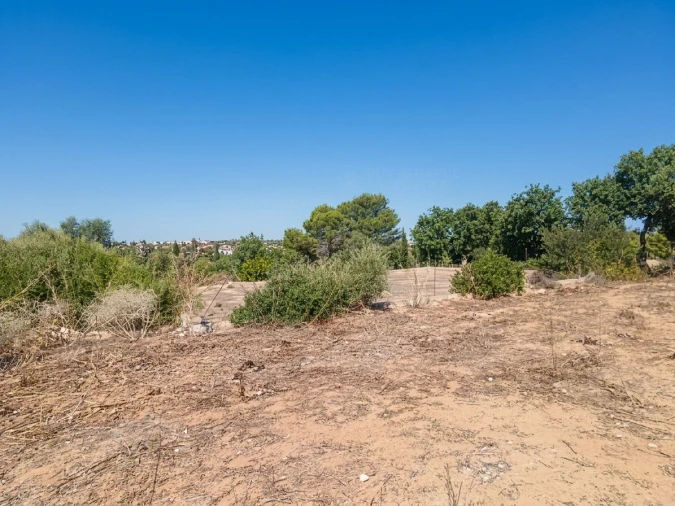 Terreno para Venda em Lagoa e Carvoeiro Foto 9