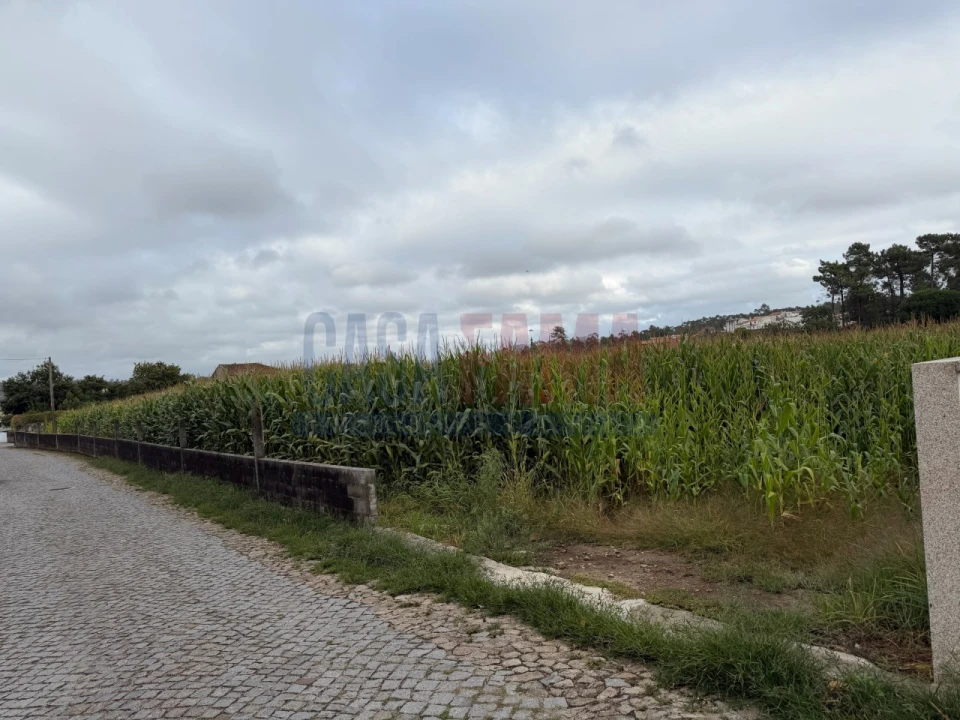 Terreno para Venda em Rio Mau e Arcos Foto 1