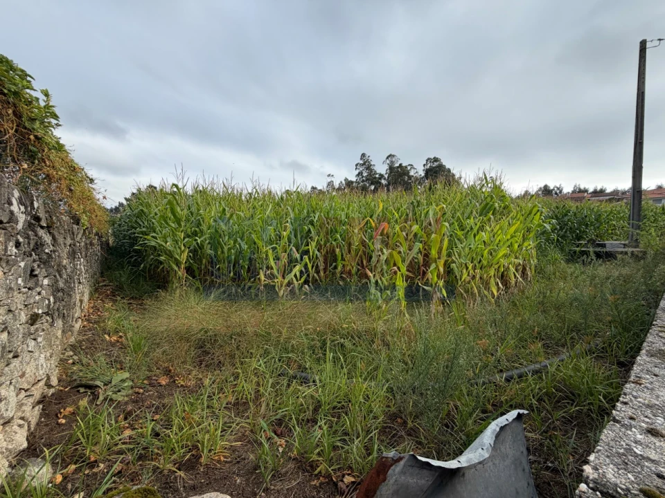 Terreno para Venda em Rio Mau e Arcos Foto 7