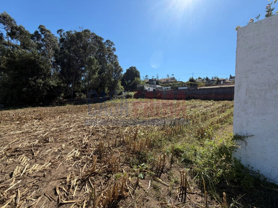 Terreno para Venda em Rio Mau e Arcos Foto 2