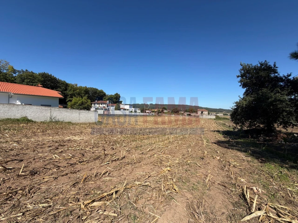 Terreno para Venda em Rio Mau e Arcos Foto 3