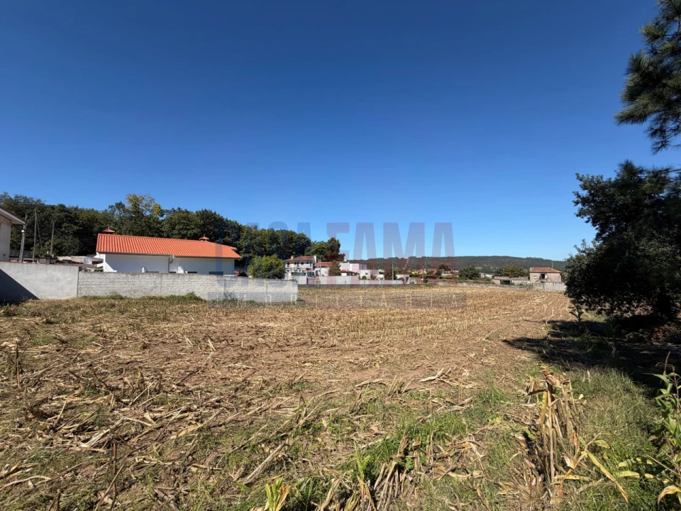 Terreno para Venda em Rio Mau e Arcos Foto 4
