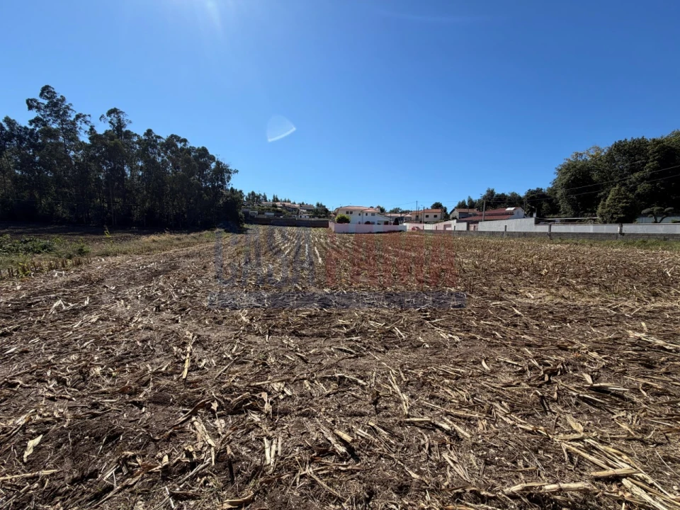 Terreno para Venda em Rio Mau e Arcos Foto 5