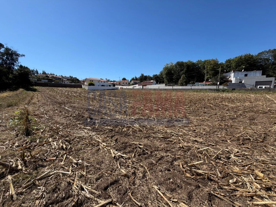 Terreno para Venda em Rio Mau e Arcos Foto 6