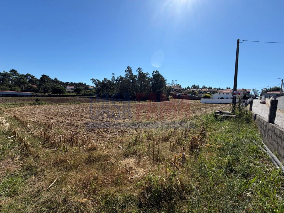 Terreno para Venda em Rio Mau e Arcos Foto 7