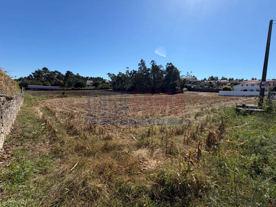Terreno para Venda em Rio Mau e Arcos Foto 8