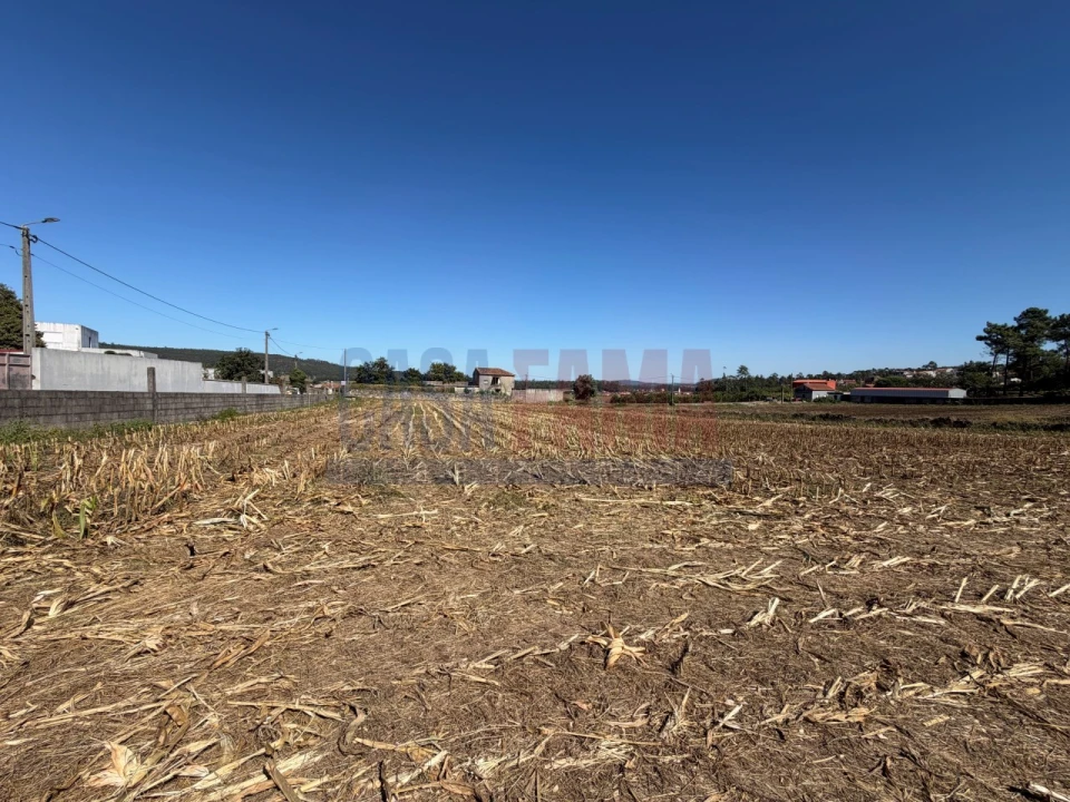 Terreno para Venda em Rio Mau e Arcos Foto 10