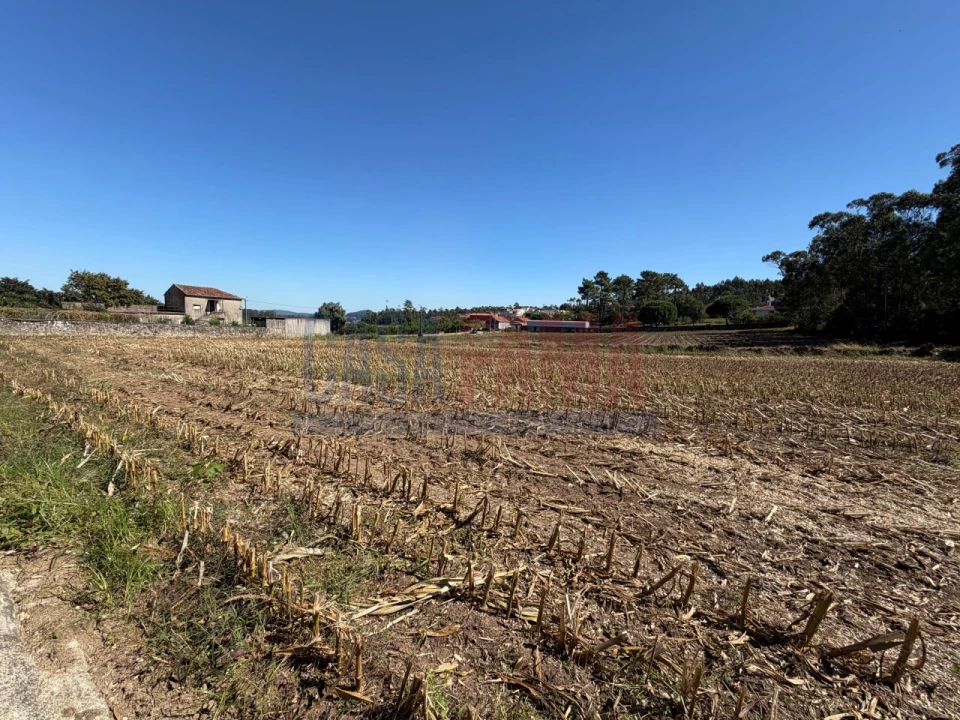 Terreno para Venda em Rio Mau e Arcos Foto 11