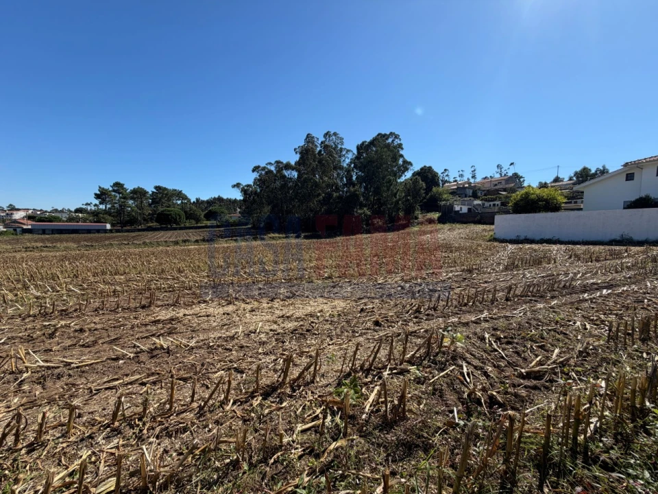 Terreno para Venda em Rio Mau e Arcos Foto 12