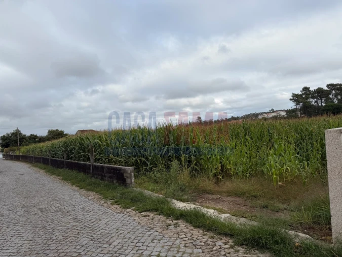 Terreno para Venda em Rio Mau e Arcos Foto 6
