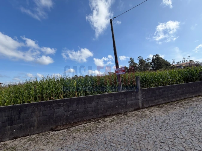 Terreno para Venda em Rio Mau e Arcos Foto 8