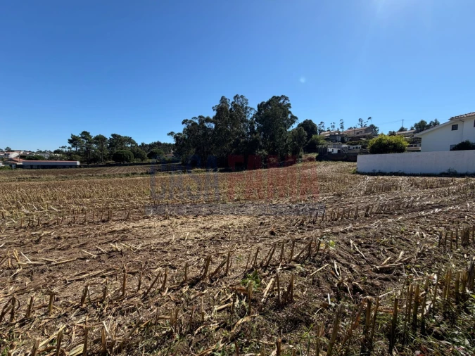 Terreno para Venda em Rio Mau e Arcos Foto 12