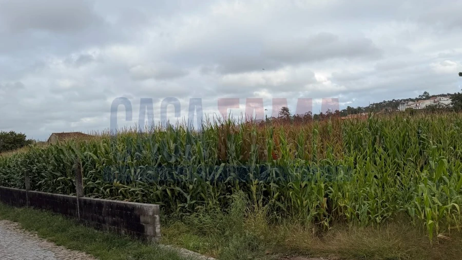 Terreno para Venda em Rio Mau e Arcos