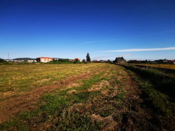 Quinta T4 para Venda em Barcelos, V.Boa, V.Frescainha