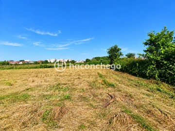 Quinta T4 para Venda em Barcelos, V.Boa, V.Frescainha