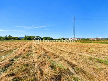 Quinta T4 para Venda em Barcelos, V.Boa, V.Frescainha