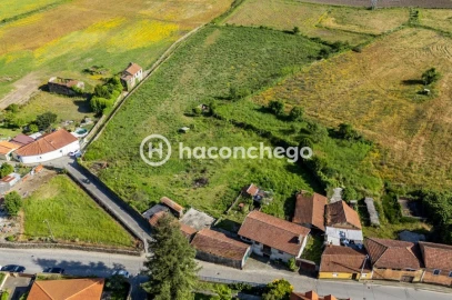 Quinta T4 para Venda em Barcelos, V.Boa, V.Frescainha