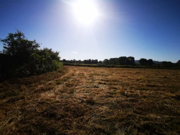 Quinta T4 para Venda em Barcelos, V.Boa, V.Frescainha
