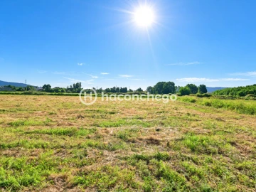 Quinta T4 para Venda em Barcelos, V.Boa, V.Frescainha