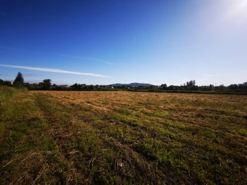 Quinta T4 para Venda em Barcelos, V.Boa, V.Frescainha