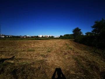 Quinta T4 para Venda em Barcelos, V.Boa, V.Frescainha