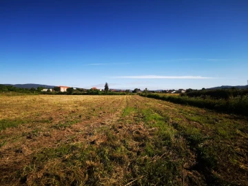 Quinta T4 para Venda em Barcelos, V.Boa, V.Frescainha