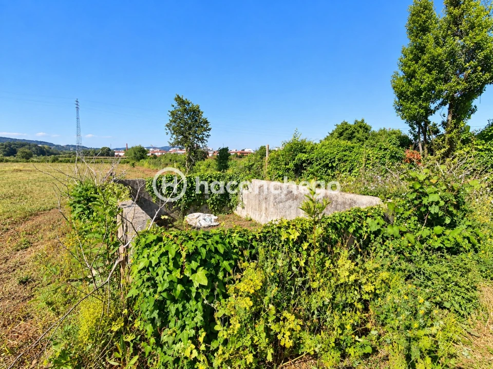 Quinta T4 para Venda em Barcelos, V.Boa, V.Frescainha Foto 27