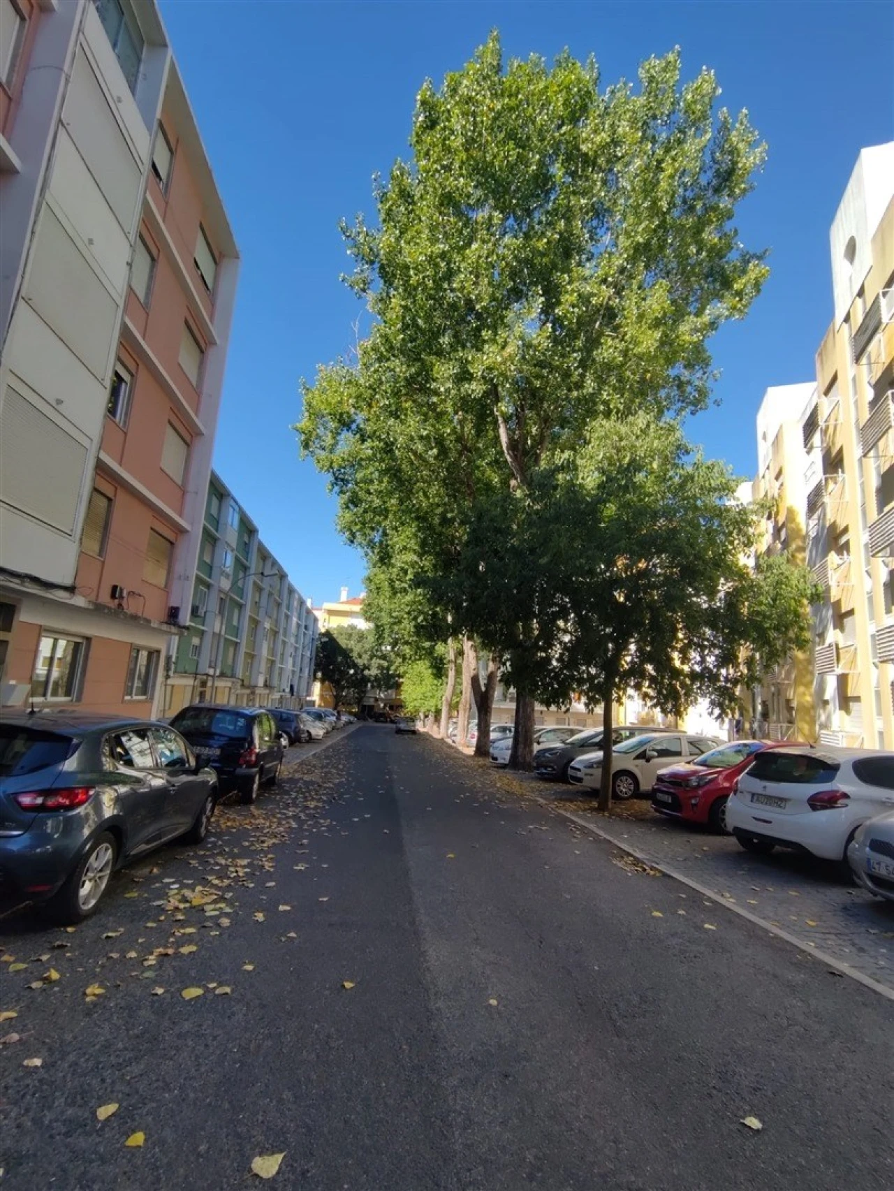 Apartamento T2 para Venda em Benfica Foto 2