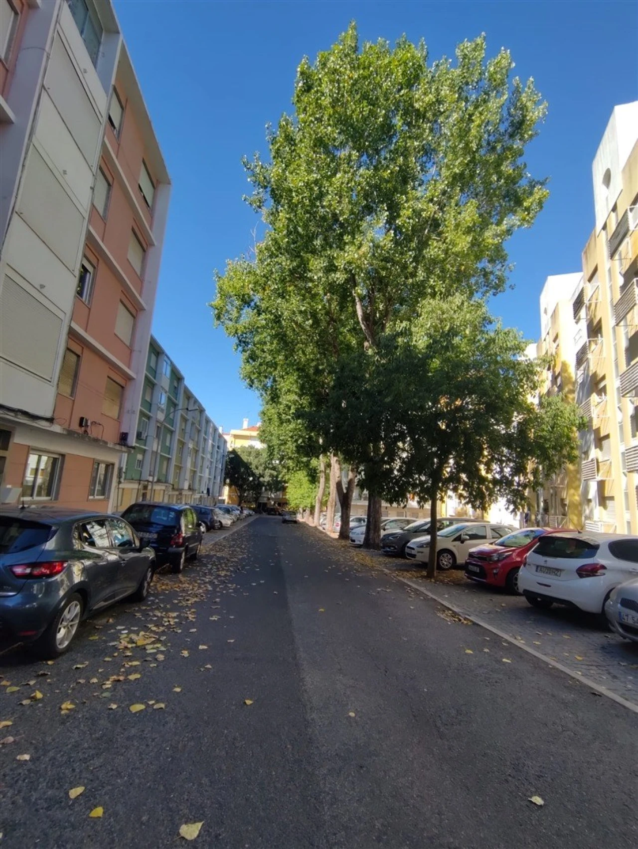 Apartamento T2 para Venda em Benfica Foto 2