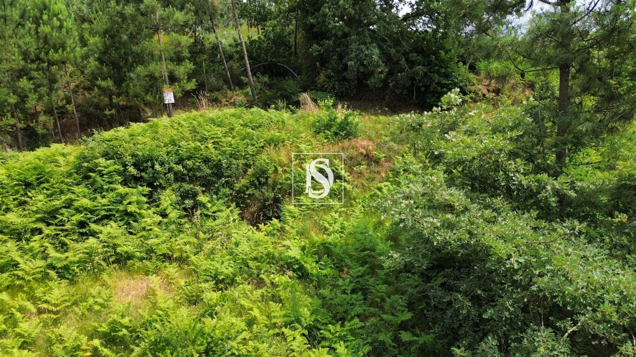Terreno Agricola ou Rústico para Venda em Salvador do Monte Foto 4