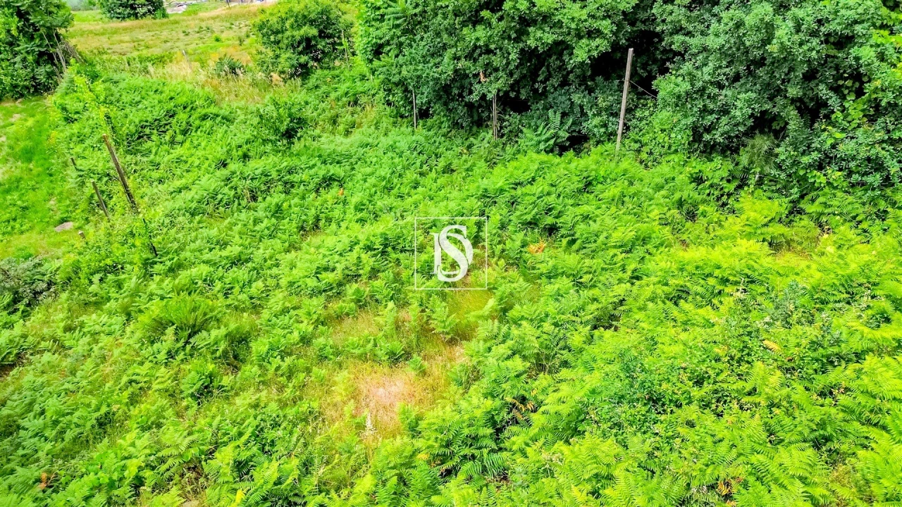 Terreno Agricola ou Rústico para Venda em Salvador do Monte Foto 8