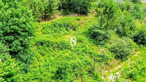 Terreno Agricola ou Rústico para Venda em Salvador do Monte