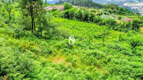 Terreno Agricola ou Rústico para Venda em Salvador do Monte