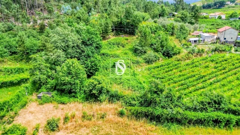 Terreno Agricola ou Rústico para Venda em Salvador do Monte