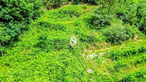 Terreno Agricola ou Rústico para Venda em Salvador do Monte