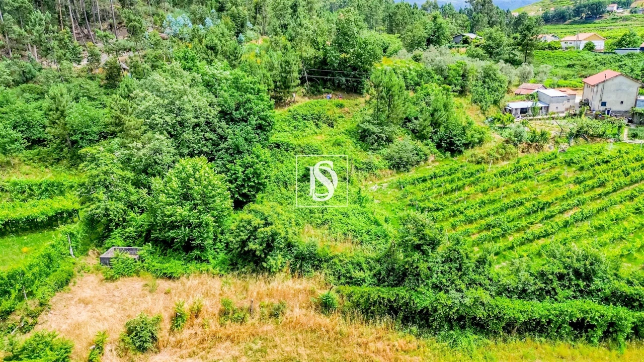 Terreno Agricola ou Rústico para Venda em Salvador do Monte Foto 9