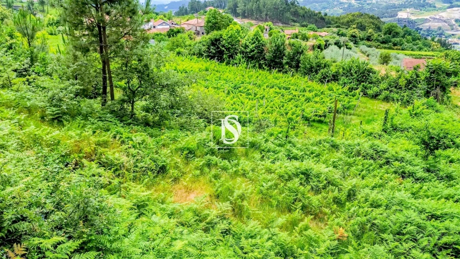 Terreno Agricola ou Rústico para Venda em Salvador do Monte Foto 6